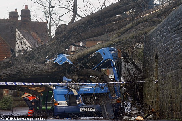 The driver was cut free from the wreckage by firefighters and rushed to hospital